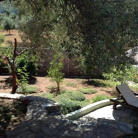 Nesrin Hanim'in Evi * 무글라
